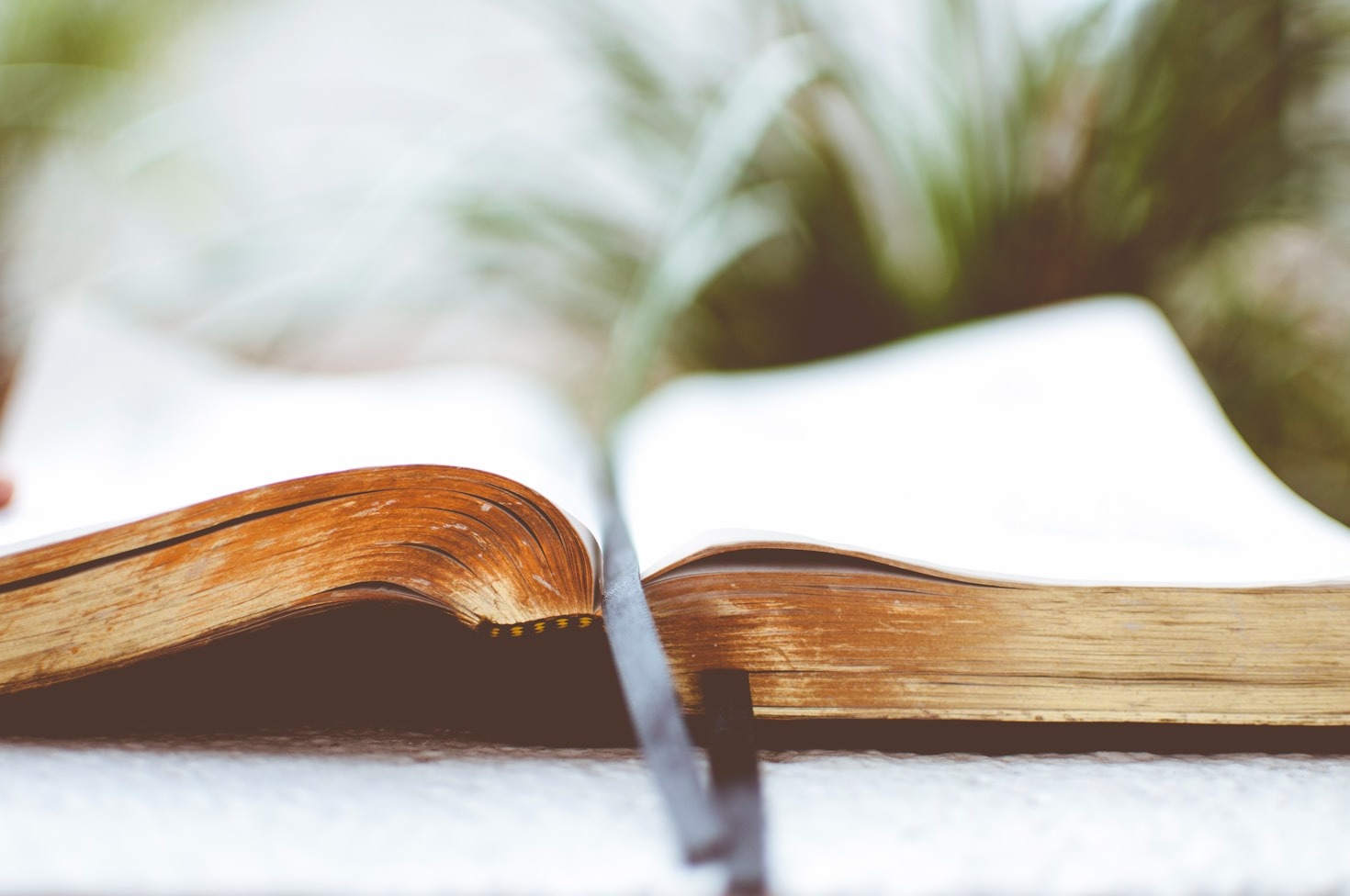 Finding Strength Through Daily Prayer Practices